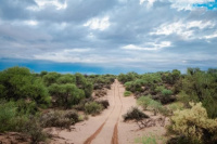 La Secretaría de Ambiente invita a participar de un concurso sobre bosques nativos