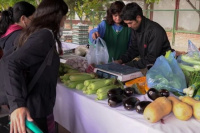 Pocito presenta su Feria Agroproductiva: frutas, verduras y más a precios accesibles