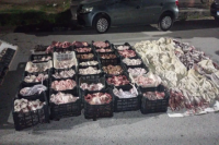  Decomisan más de 2 mil kilos de achuras en condiciones insalubres en Sarmiento