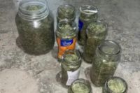Allanaban una casa por robo y encontraron frascos llenos de marihuana