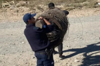 Un productor fue víctima de dos robos en sus fincas de 25 de Mayo