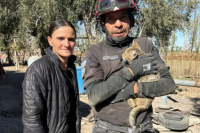 Rescatan en Rawson a un gatito que cayó a un pozo de 13 metros
