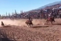 Maltrato animal en Barreal: sacrificaron a una yegua tras fracturarse en una carrera