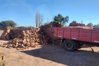 Carga peligrosa: un trabajador sufrió lesiones por derrumbe de ladrillos en Santa Lucía