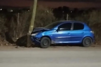 Caucete: un perro provocó un fuerte accidente en el Barrio Industrial