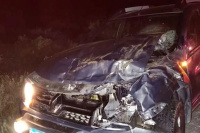 Ruta 40 en alerta: grave accidente en Jáchal por presencia de animal suelto