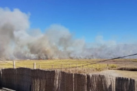 Un incendio arrasó 80 hectáreas en Médano de Oro y generó alarma en la zona
