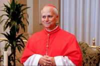 Papa León XIV renueva su llamado a un alto el fuego en Gaza tras bombardeo a iglesia