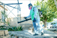 Comienza el operativo contra plagas en Capital: días, zonas y horarios de intervención