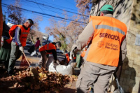 San Juan lanza operativo de poda y limpieza en 15 barrios: árboles, acequias y mejoras urbanas