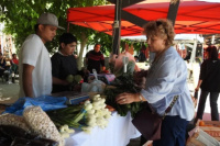 Nueva edición de la Feria Agroproductiva este sábado en el Parque de Mayo