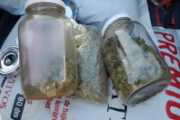 Detienen a dos personas con marihuana durante patrullaje policial en Rivadavia