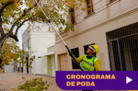 La Ciudad de San Juan sigue con los trabajos de poda