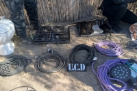 Operativo por robo terminó con el hallazgo de una plantación de marihuana