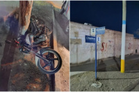 Chocó contra un árbol con su moto tras esquivar a un perro y terminó internado