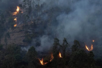 España: el gobierno dará ayuda a las zonas afectadas por incendios forestales