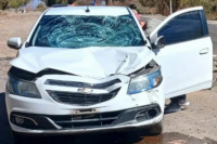 Una mujer resultó herida tras ser embestida por un auto en Calingasta