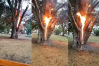 Impactante: un rayo alcanzó una casa en El Medanito y dejó sin luz a los vecinos