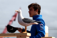 GP de Países Bajos de Fórmula: Franco Colapinto finalizó 11° y firmó su mejor desempeño con Alpine 