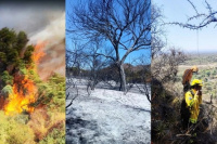 Grave incendio en Astica: destruyó bosque nativo y forzó evacuaciones