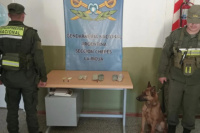 Drogas detectadas por Gendarmería en un vehículo en ruta hacia San Juan