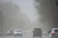 Viernes primaveral: con alerta de viento, la máxima para hoy será de 27°C