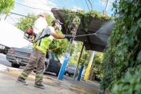 La ciudad se pone a punto: operativo de poda y mantenimiento en la Capital